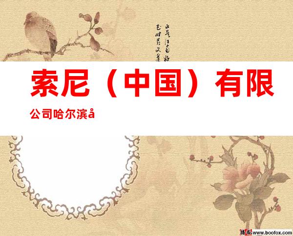 索尼（中国）有限公司哈尔滨分公司
