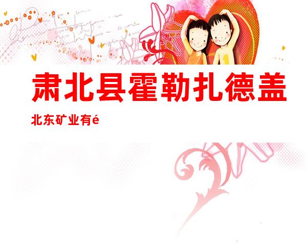 肃北县霍勒扎德盖北东矿业有限责任公司