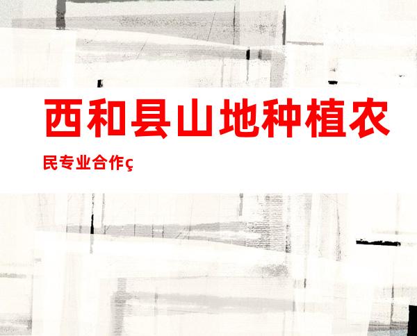 西和县山地种植农民专业合作社