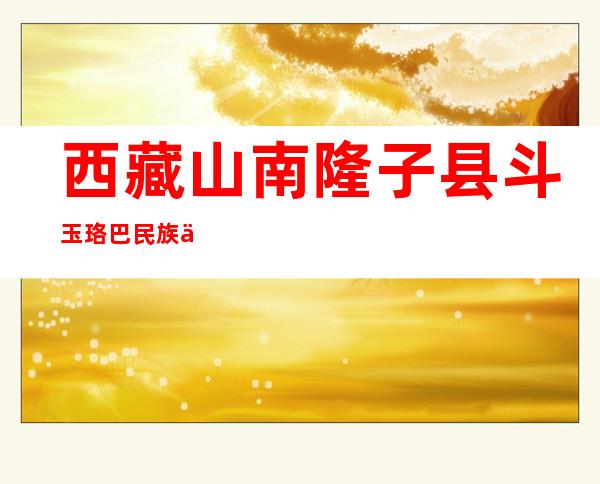 西藏山南隆子县斗玉珞巴民族乡其玛普村农牧民施工队