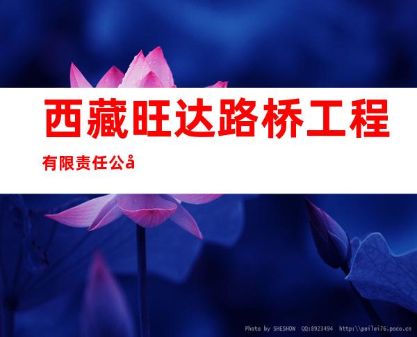 西藏旺达路桥工程有限责任公司定结县分公司