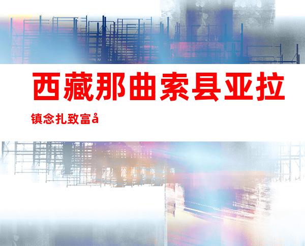 西藏那曲索县亚拉镇念扎致富建筑综合专业合作社