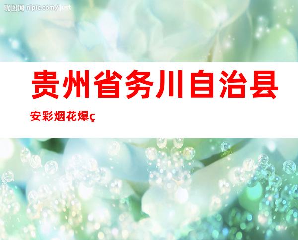 贵州省务川自治县安彩烟花爆竹有限责任公司