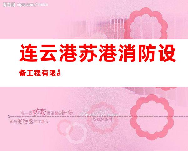 连云港苏港消防设备工程有限公司宁夏分公司