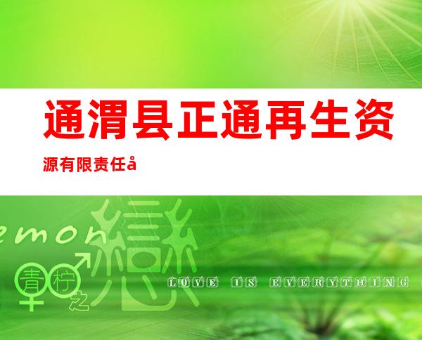 通渭县正通再生资源有限责任公司