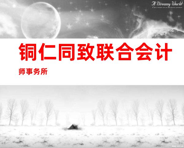 铜仁同致联合会计师事务所