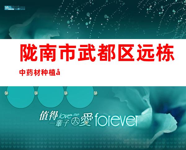 陇南市武都区远栋中药材种植农民专业合作社