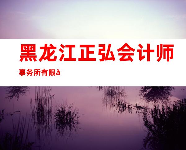 黑龙江正弘会计师事务所有限公司