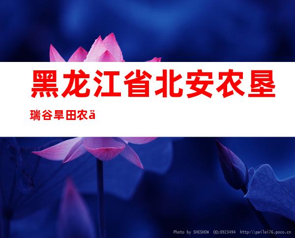 黑龙江省北安农垦瑞谷旱田农作物种植专业合作社